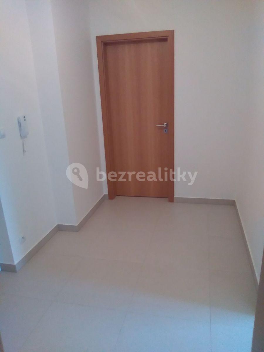 1 bedroom with open-plan kitchen flat to rent, 52 m², Provázkova ulice, Prague, Prague