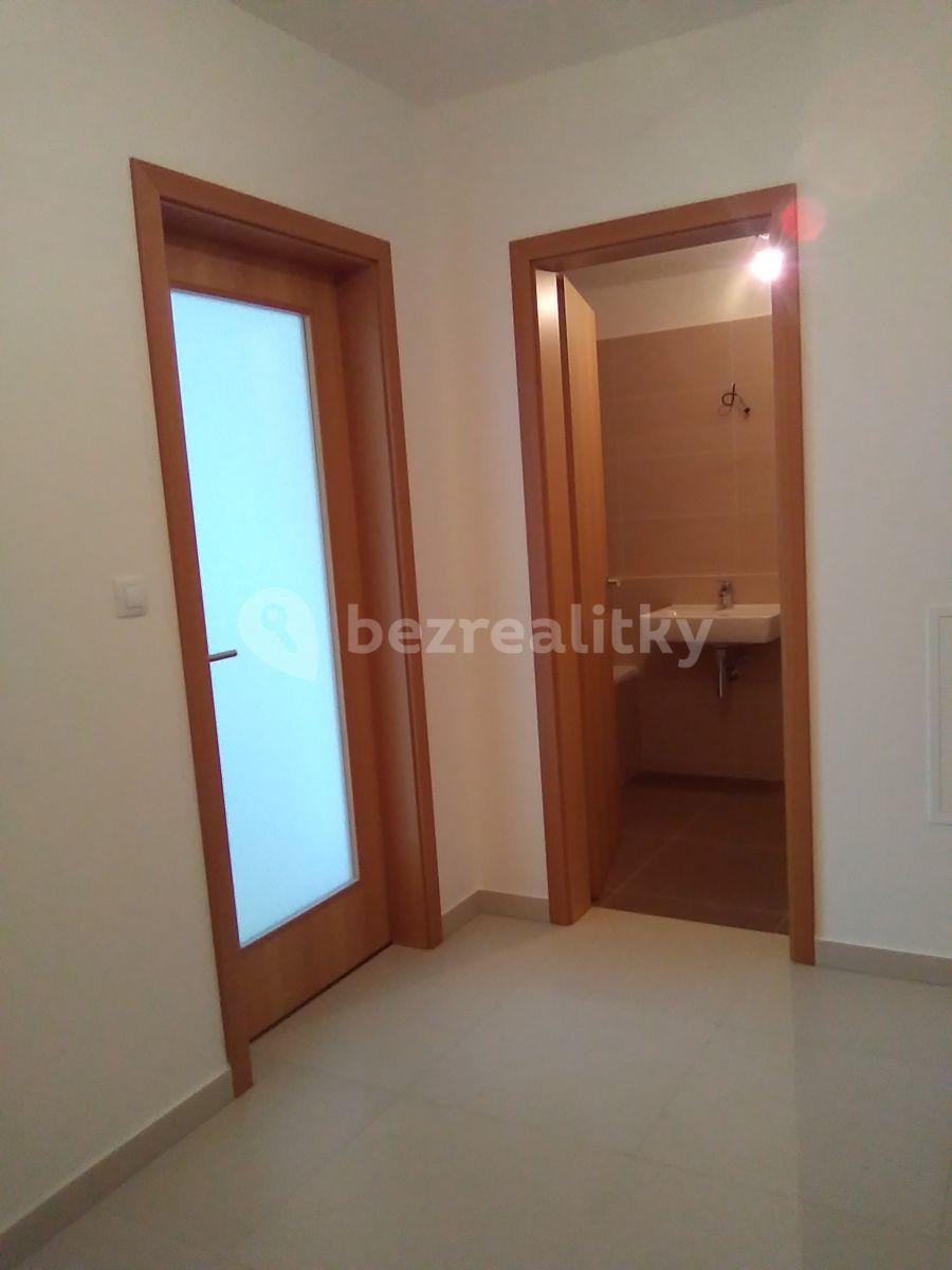 1 bedroom with open-plan kitchen flat to rent, 52 m², Provázkova ulice, Prague, Prague