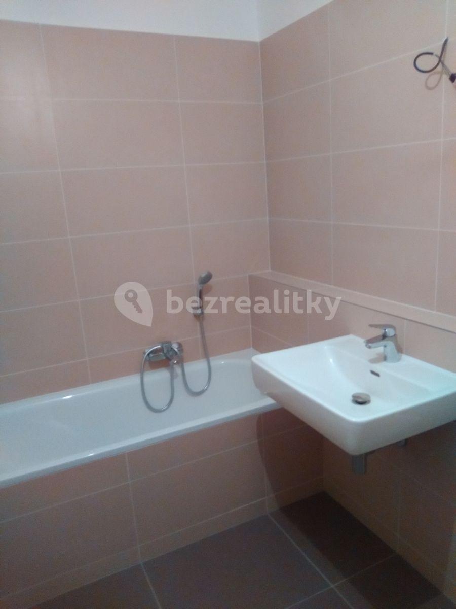 1 bedroom with open-plan kitchen flat to rent, 52 m², Provázkova ulice, Prague, Prague