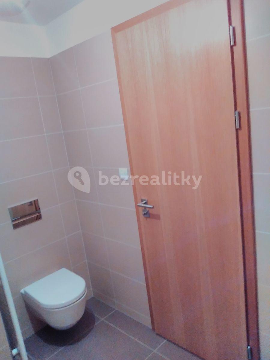 1 bedroom with open-plan kitchen flat to rent, 52 m², Provázkova ulice, Prague, Prague