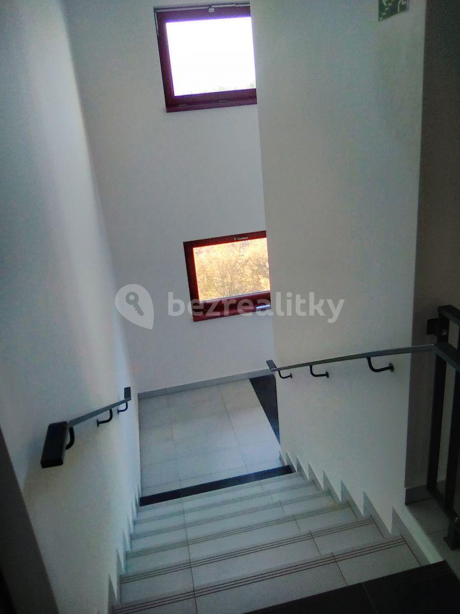 1 bedroom with open-plan kitchen flat to rent, 52 m², Provázkova ulice, Prague, Prague