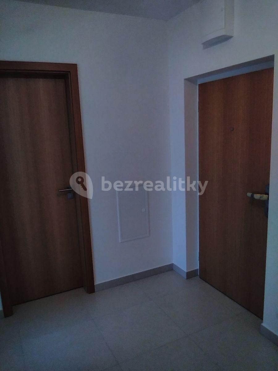 1 bedroom with open-plan kitchen flat to rent, 52 m², Provázkova ulice, Prague, Prague