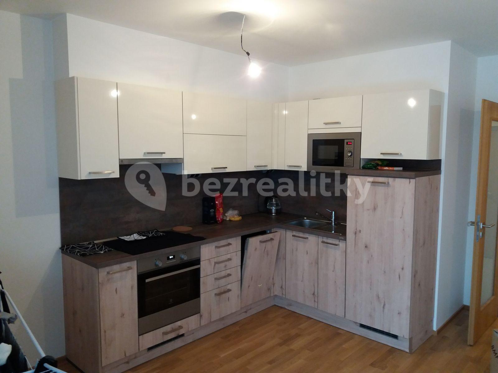 1 bedroom with open-plan kitchen flat to rent, 52 m², Provázkova ulice, Prague, Prague