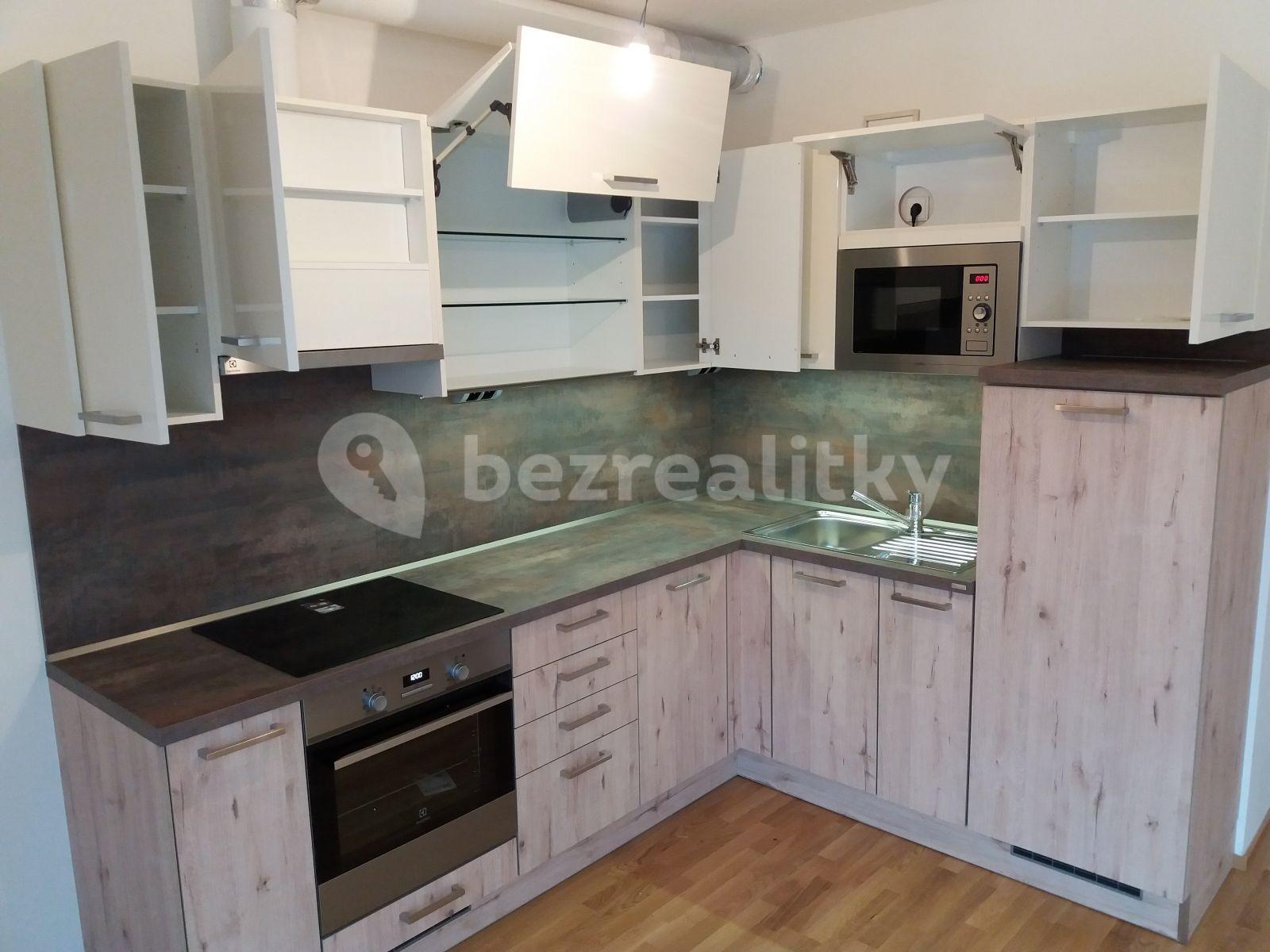 1 bedroom with open-plan kitchen flat to rent, 52 m², Provázkova ulice, Prague, Prague