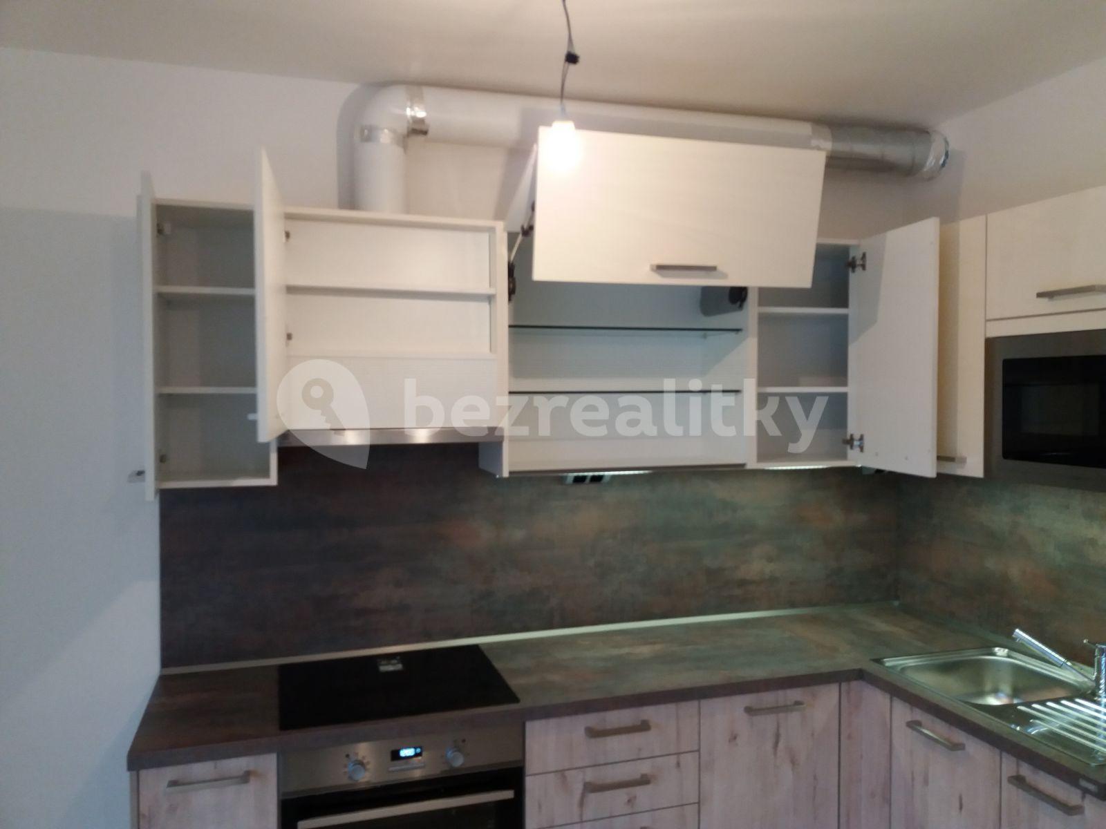 1 bedroom with open-plan kitchen flat to rent, 52 m², Provázkova ulice, Prague, Prague