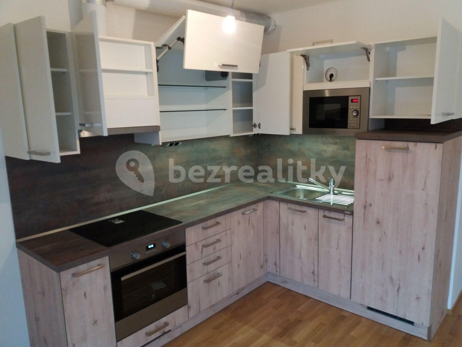 1 bedroom with open-plan kitchen flat to rent, 52 m², Provázkova ulice, Prague, Prague