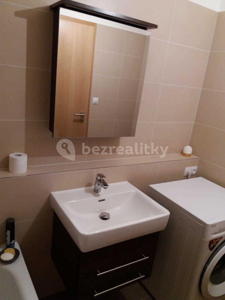 1 bedroom with open-plan kitchen flat to rent, 52 m², Provázkova ulice, Prague, Prague