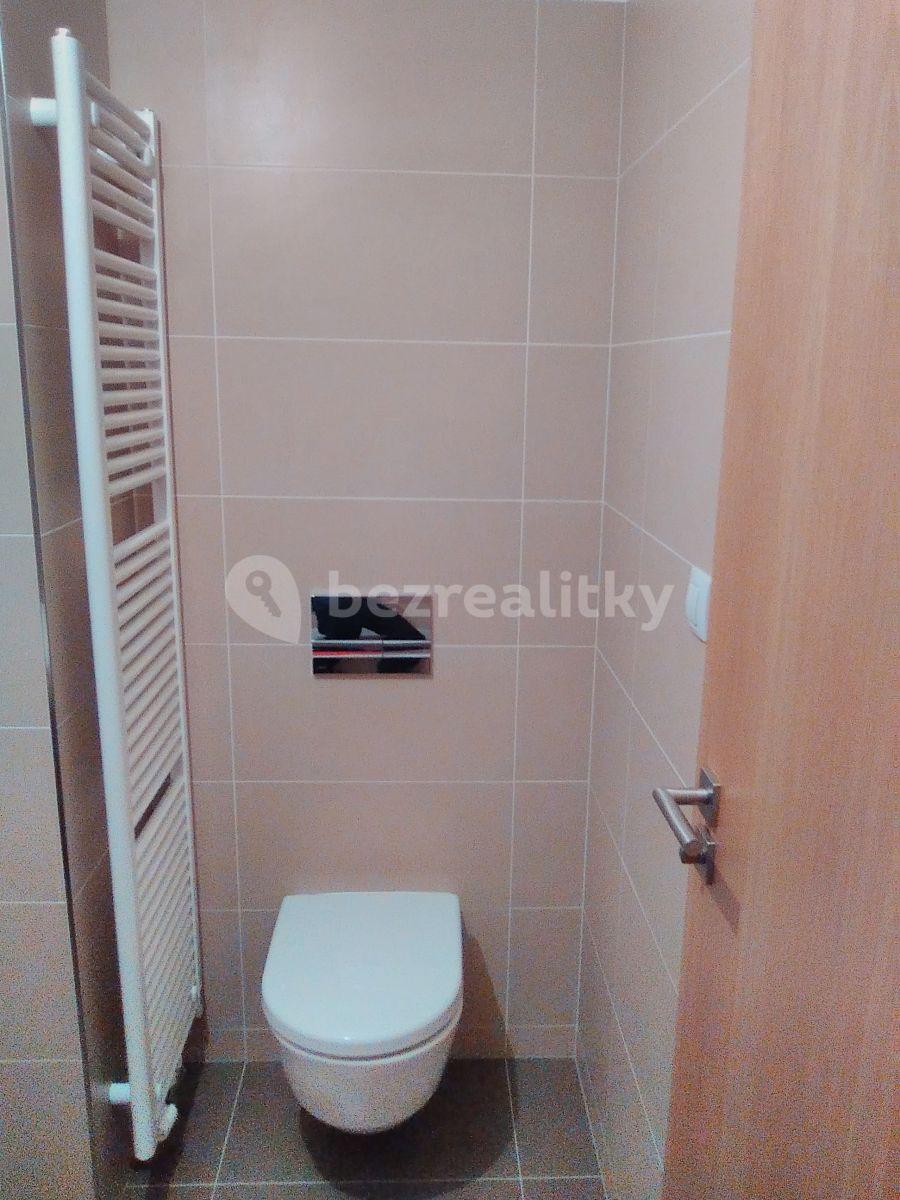 1 bedroom with open-plan kitchen flat to rent, 52 m², Provázkova ulice, Prague, Prague