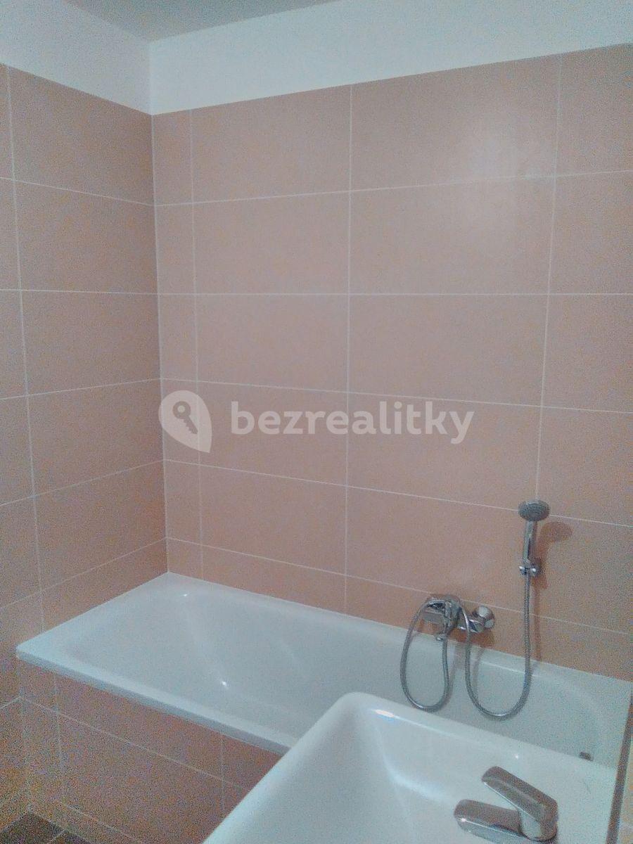 1 bedroom with open-plan kitchen flat to rent, 52 m², Provázkova ulice, Prague, Prague