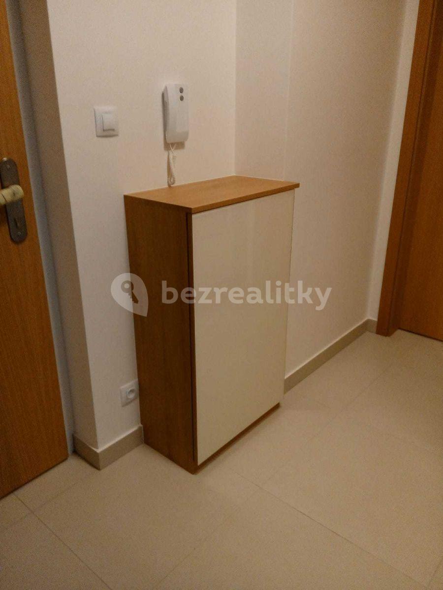 1 bedroom with open-plan kitchen flat to rent, 52 m², Provázkova ulice, Prague, Prague