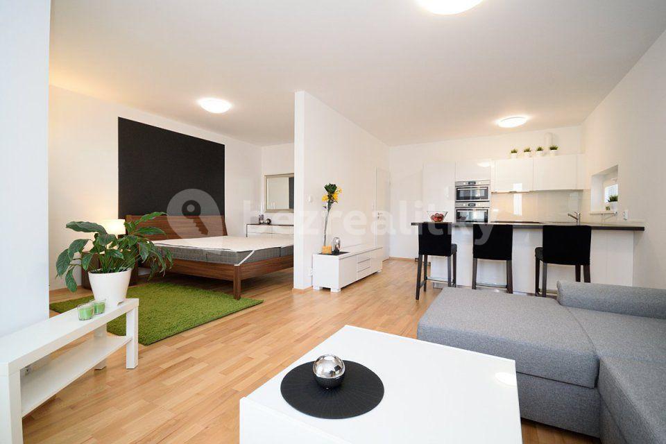 1 bedroom with open-plan kitchen flat to rent, 55 m², Makedonská, Prague, Prague