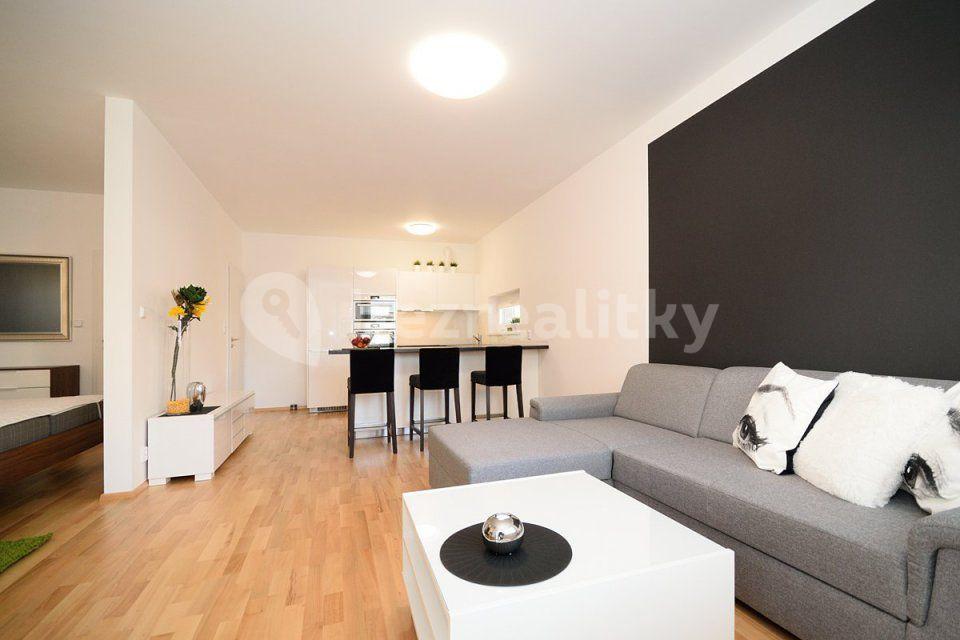 1 bedroom with open-plan kitchen flat to rent, 55 m², Makedonská, Prague, Prague