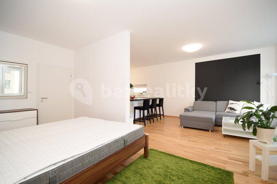 1 bedroom with open-plan kitchen flat to rent, 55 m², Makedonská, Prague, Prague