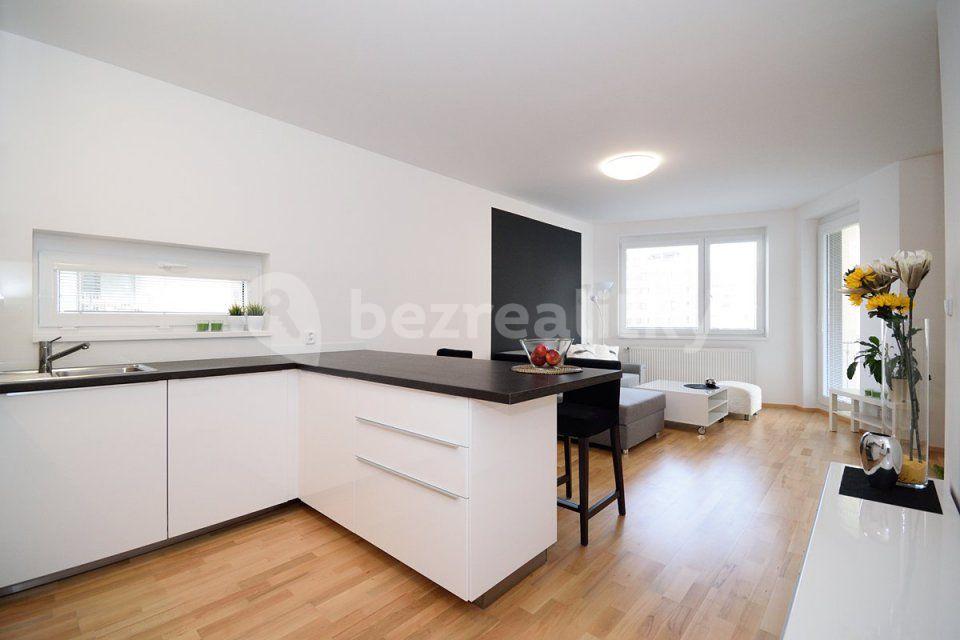 1 bedroom with open-plan kitchen flat to rent, 55 m², Makedonská, Prague, Prague