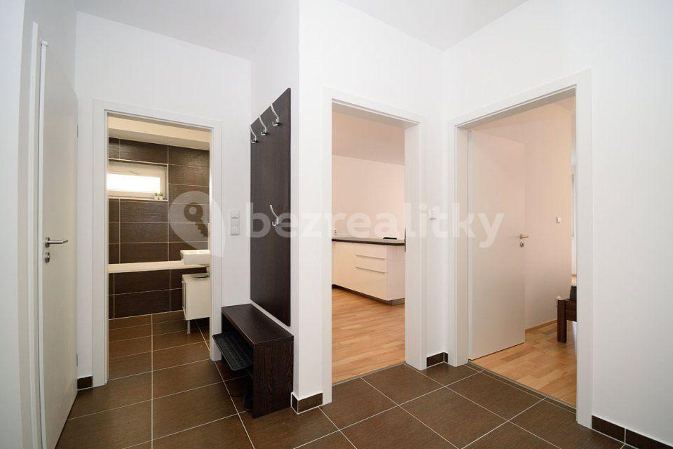 1 bedroom with open-plan kitchen flat to rent, 55 m², Makedonská, Prague, Prague