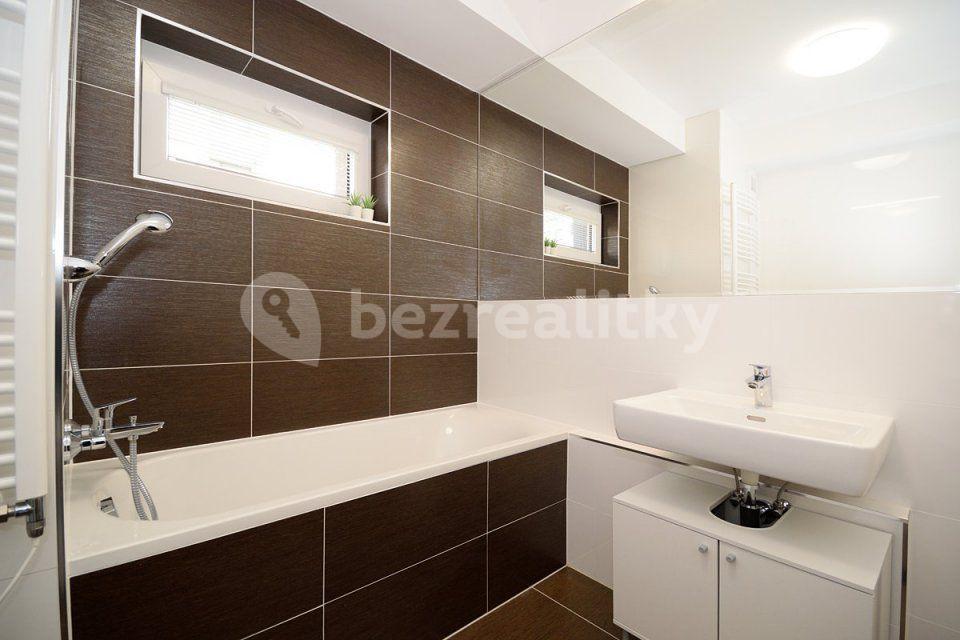 1 bedroom with open-plan kitchen flat to rent, 55 m², Makedonská, Prague, Prague