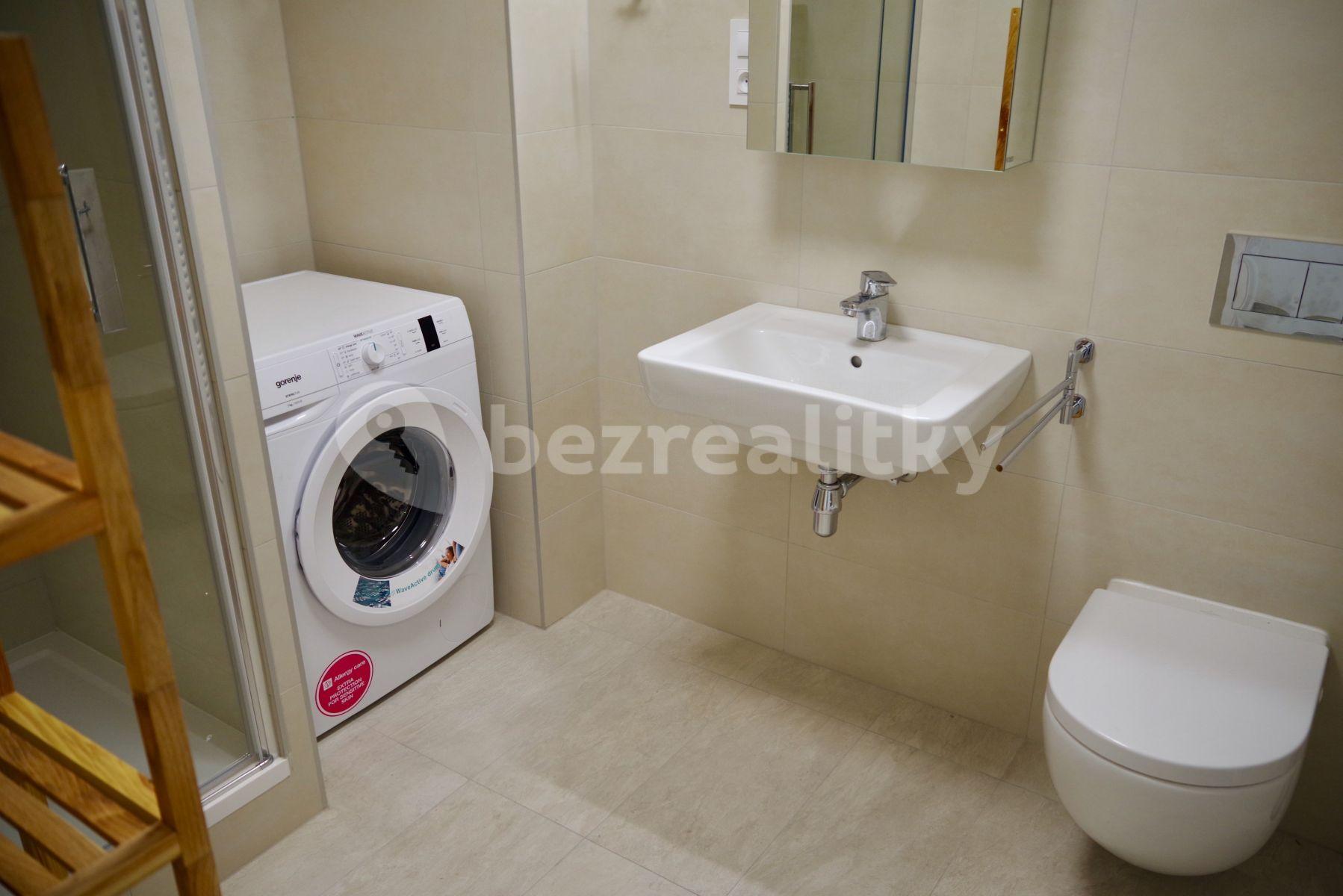 1 bedroom with open-plan kitchen flat to rent, 70 m², Zvěřinova, Prague, Prague