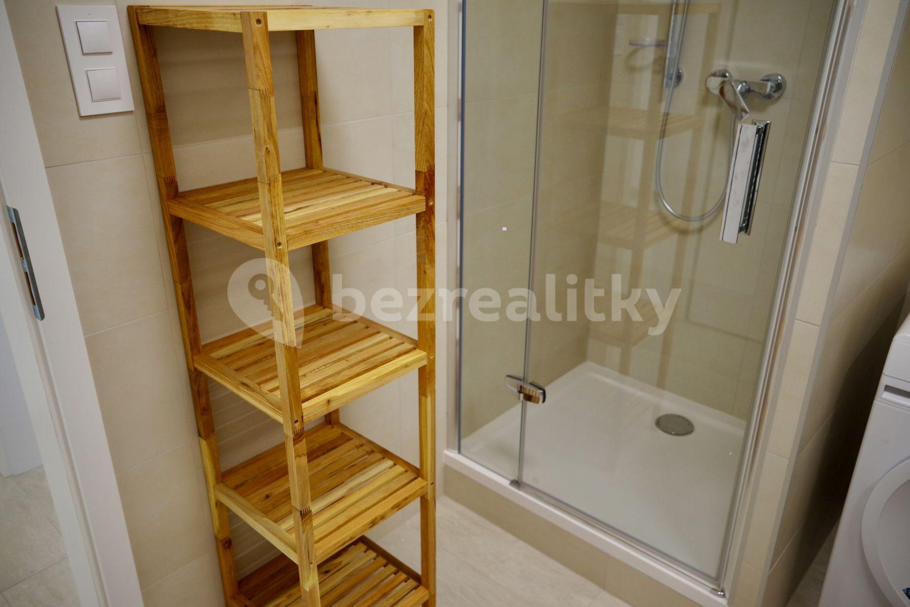 1 bedroom with open-plan kitchen flat to rent, 70 m², Zvěřinova, Prague, Prague