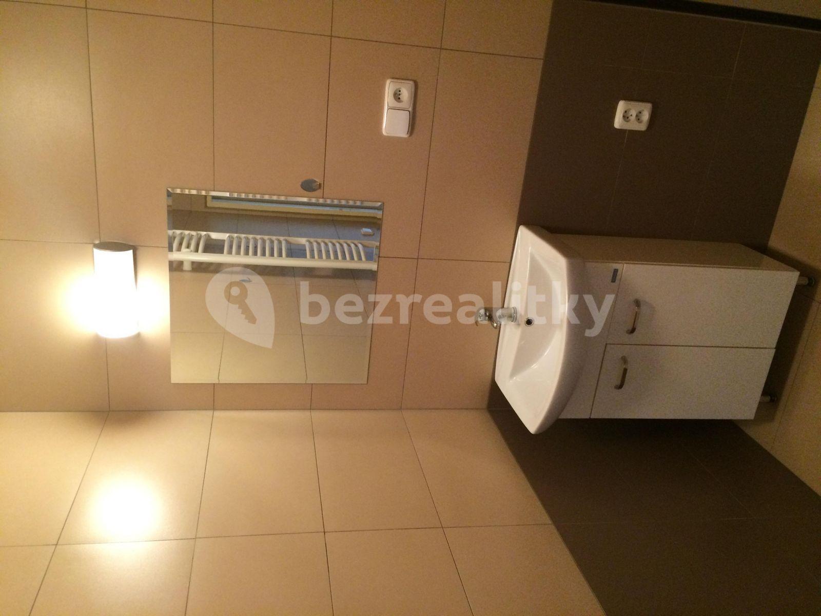 1 bedroom with open-plan kitchen flat to rent, 46 m², Hlavní, Žehušice, Středočeský Region