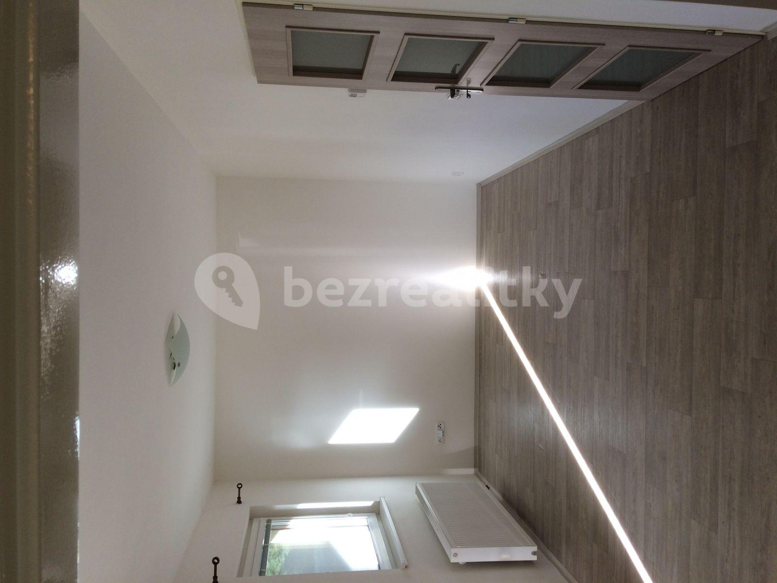 1 bedroom with open-plan kitchen flat to rent, 46 m², Hlavní, Žehušice, Středočeský Region