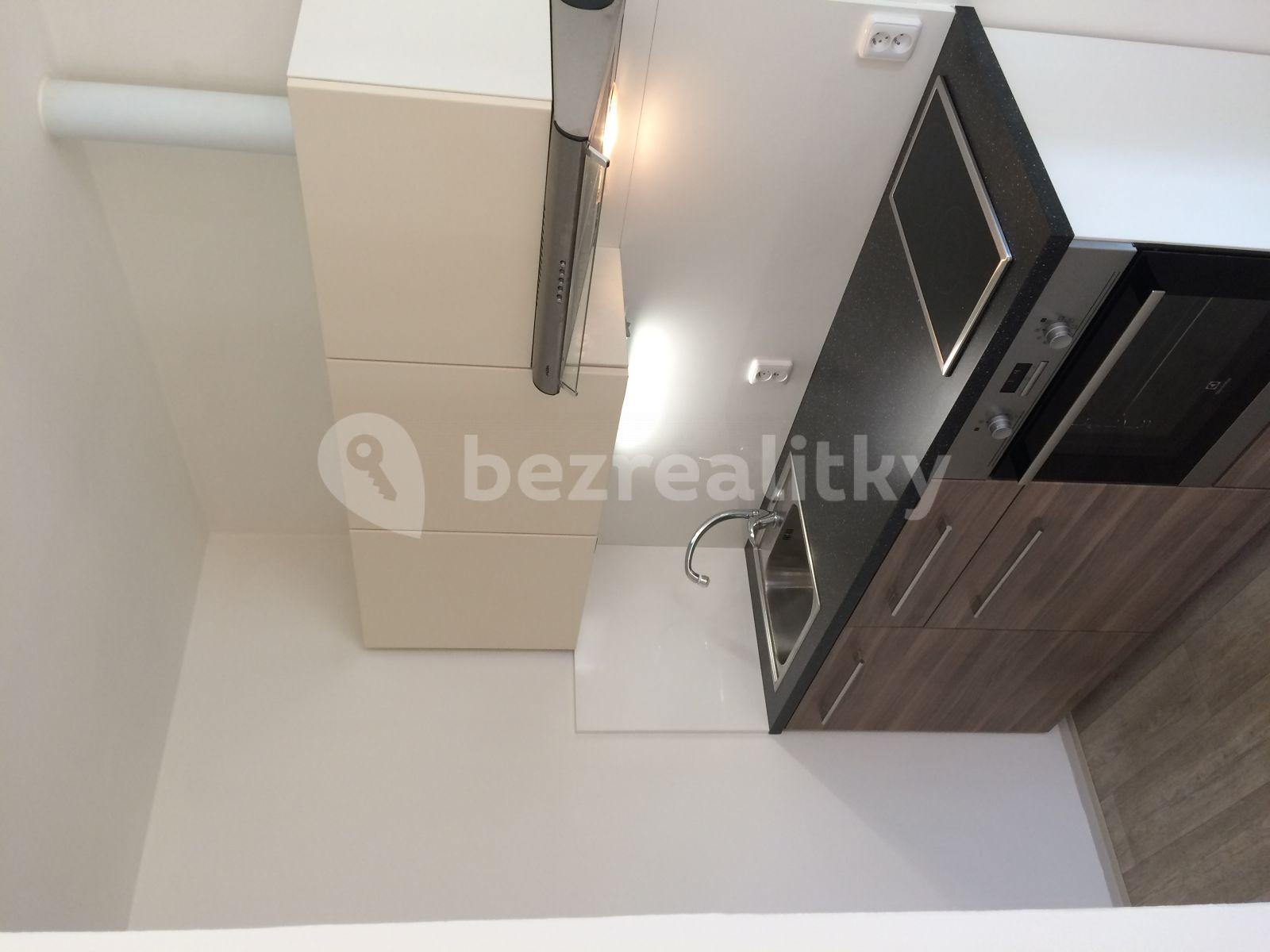 1 bedroom with open-plan kitchen flat to rent, 46 m², Hlavní, Žehušice, Středočeský Region