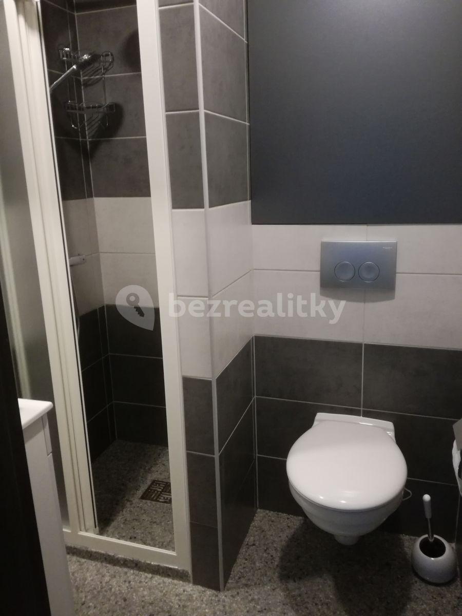 1 bedroom flat to rent, 28 m², Sklářská, Valašské Meziříčí, Zlínský Region