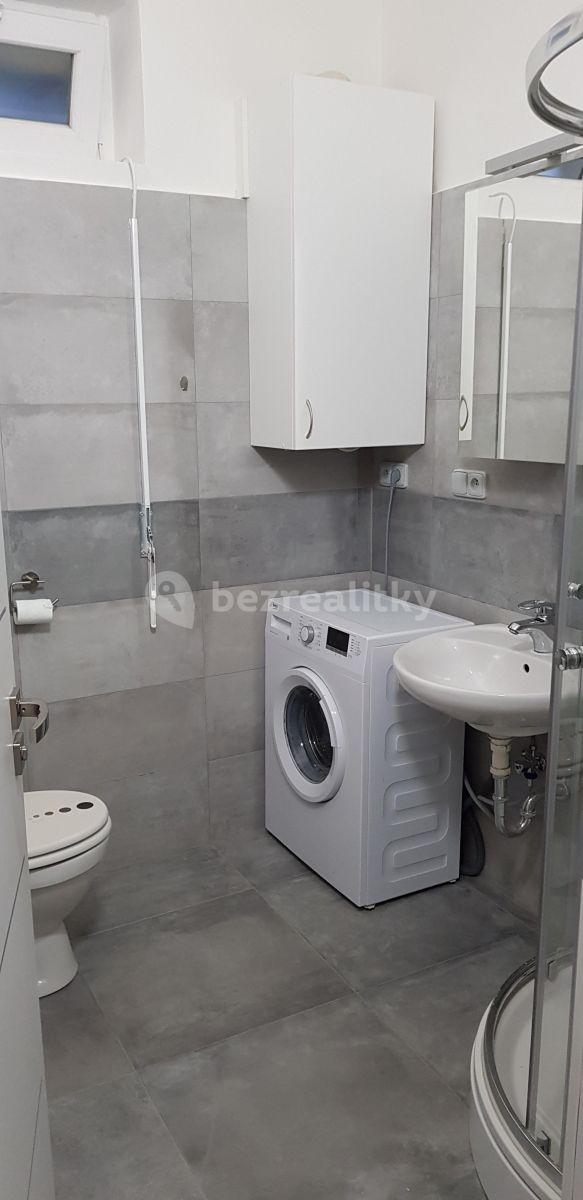 1 bedroom with open-plan kitchen flat to rent, 46 m², Uzavřená, Prague, Prague