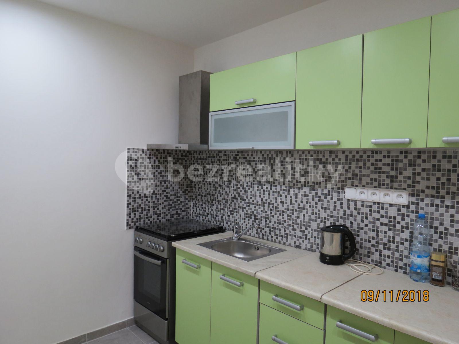 1 bedroom with open-plan kitchen flat to rent, 54 m², Na Urbance, Roudnice nad Labem, Ústecký Region