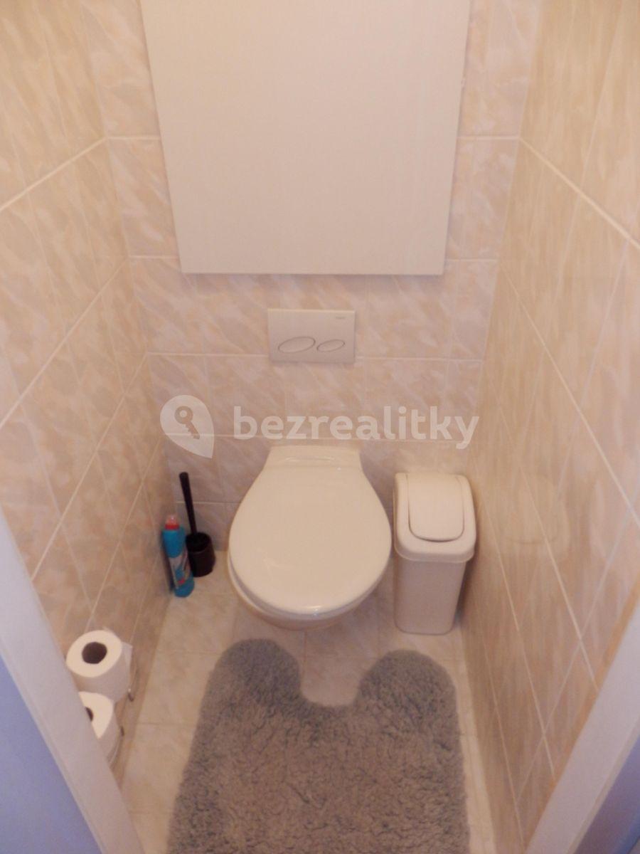 1 bedroom with open-plan kitchen flat to rent, 43 m², Amforová, Prague, Prague