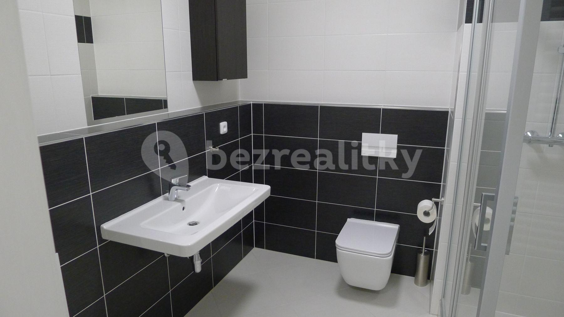 1 bedroom with open-plan kitchen flat to rent, 55 m², Honzíkova, Prague, Prague