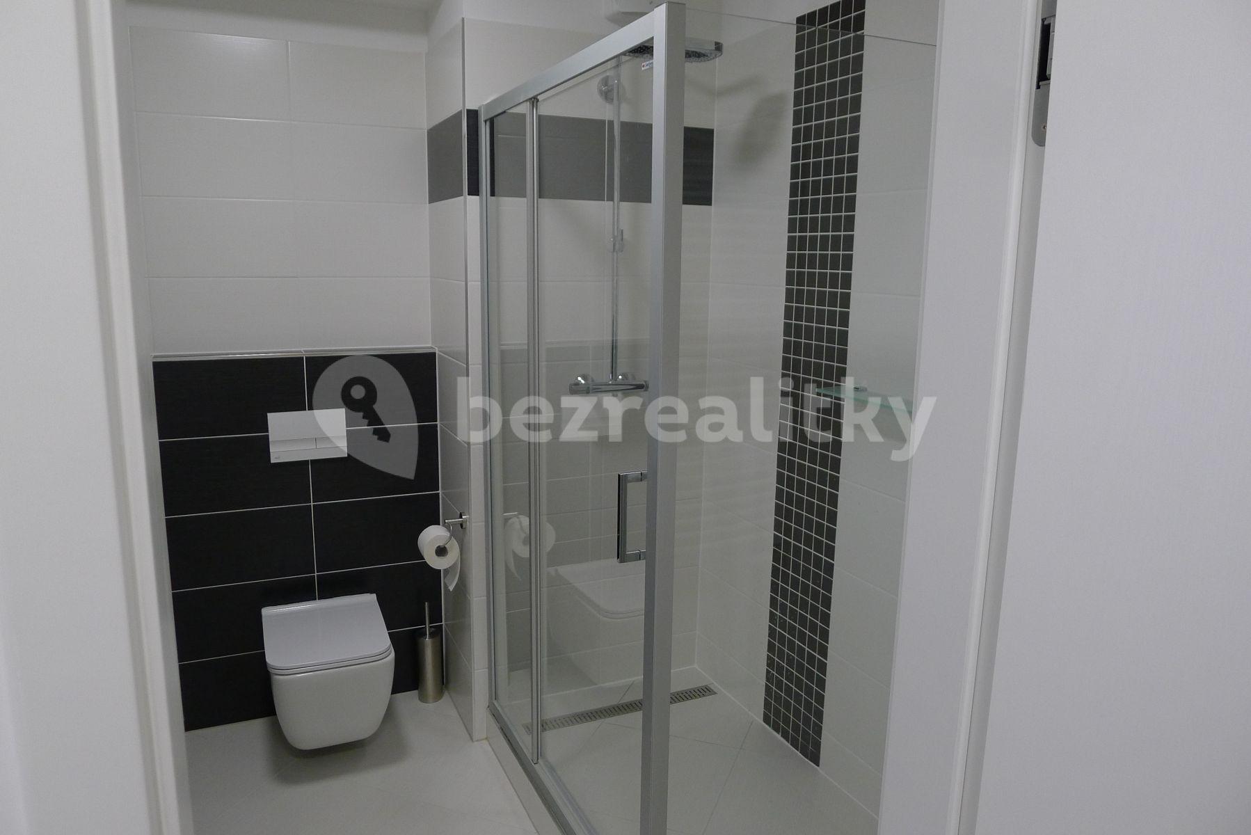 1 bedroom with open-plan kitchen flat to rent, 55 m², Honzíkova, Prague, Prague