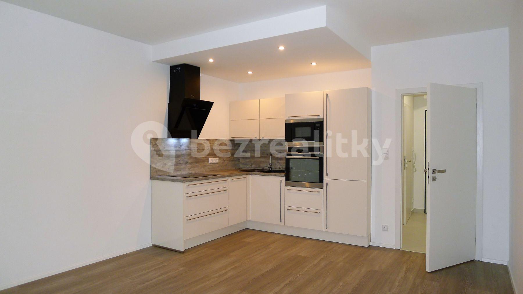 1 bedroom with open-plan kitchen flat to rent, 55 m², Honzíkova, Prague, Prague