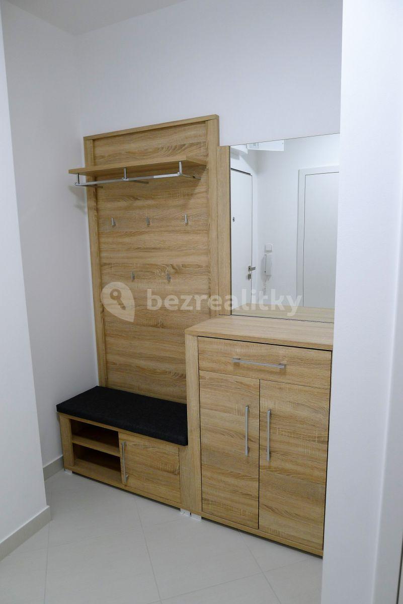 1 bedroom with open-plan kitchen flat to rent, 55 m², Honzíkova, Prague, Prague