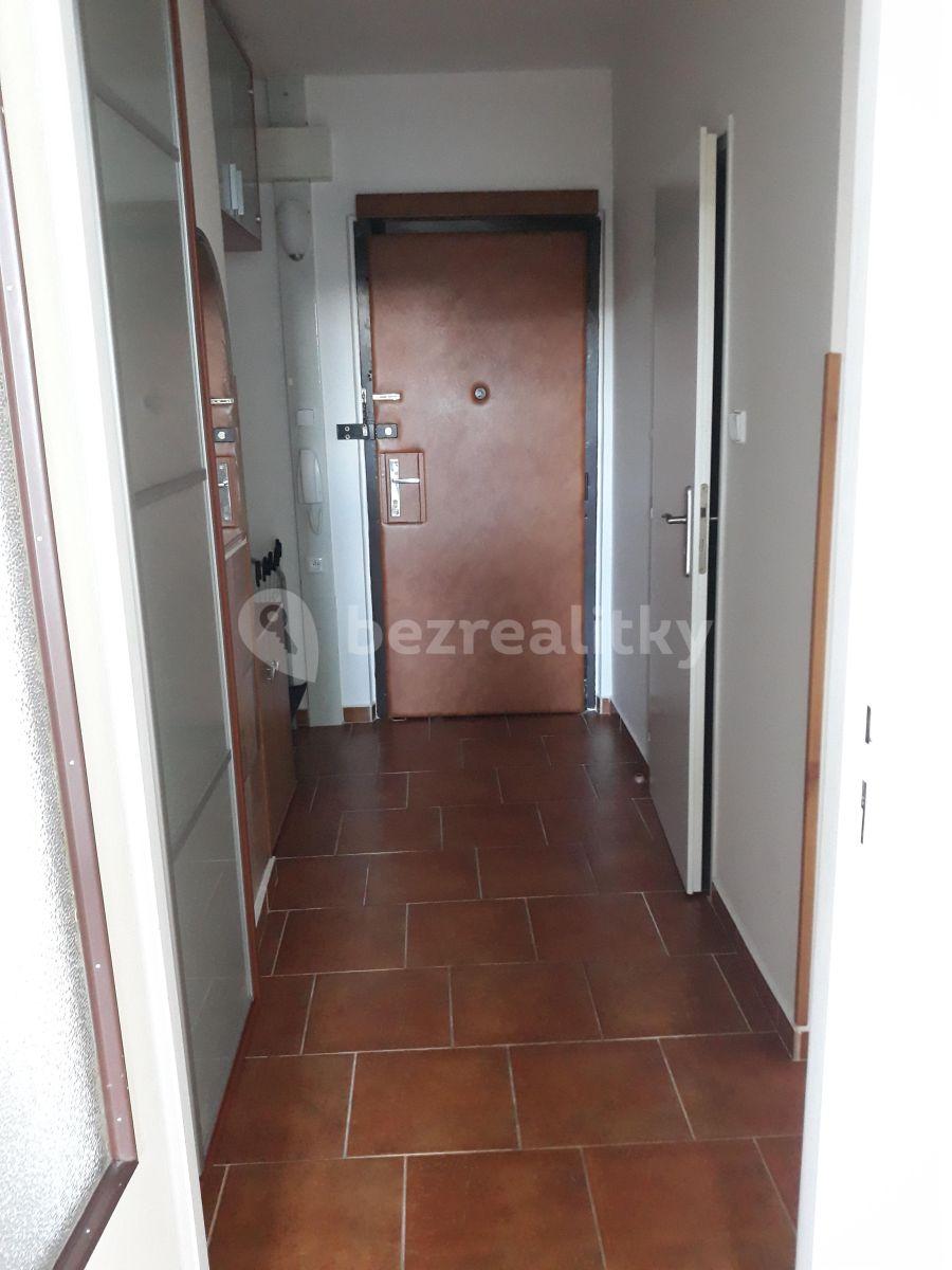 1 bedroom with open-plan kitchen flat to rent, 43 m², Podjavorinské, Prague, Prague