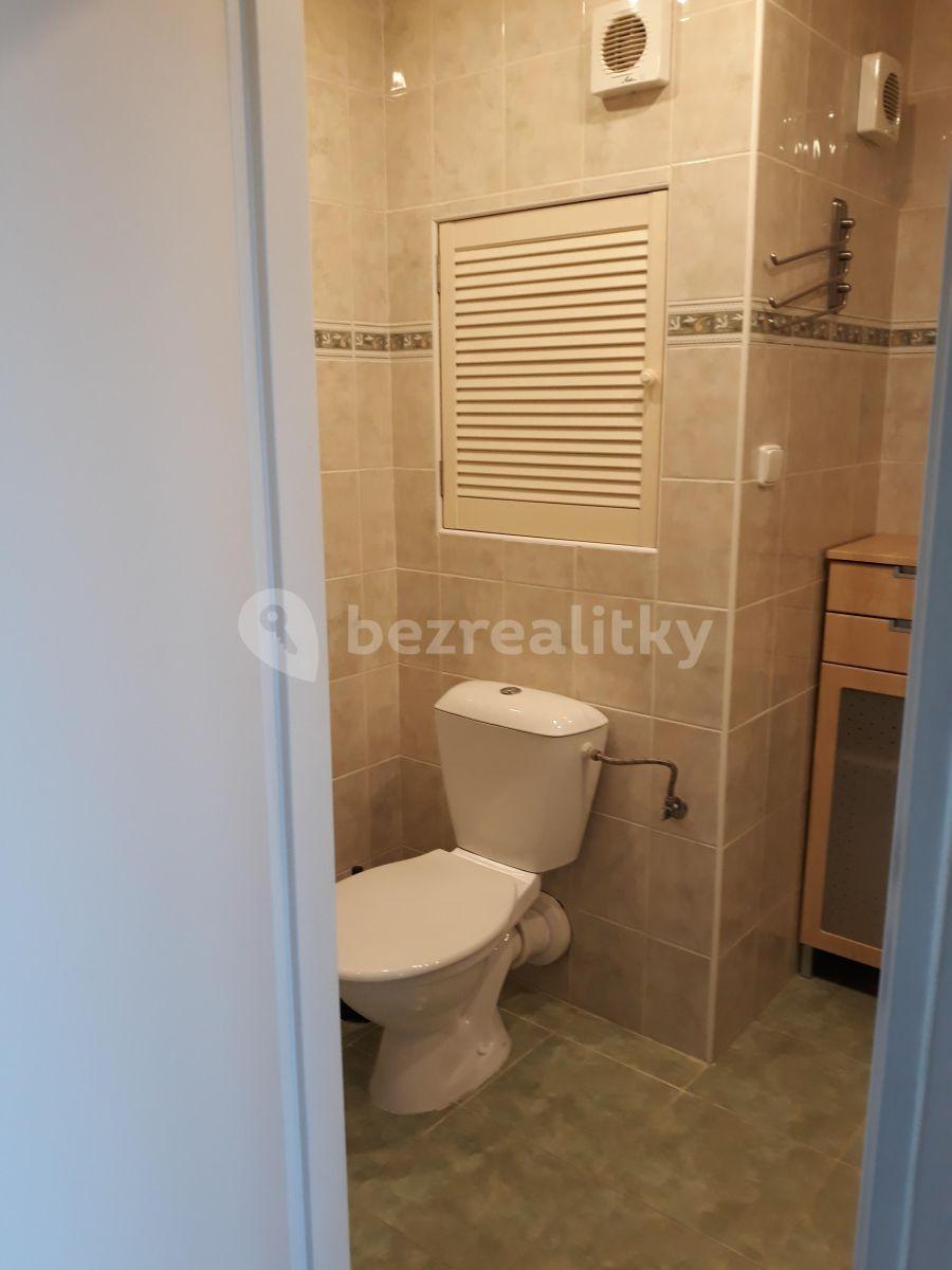 1 bedroom with open-plan kitchen flat to rent, 43 m², Podjavorinské, Prague, Prague