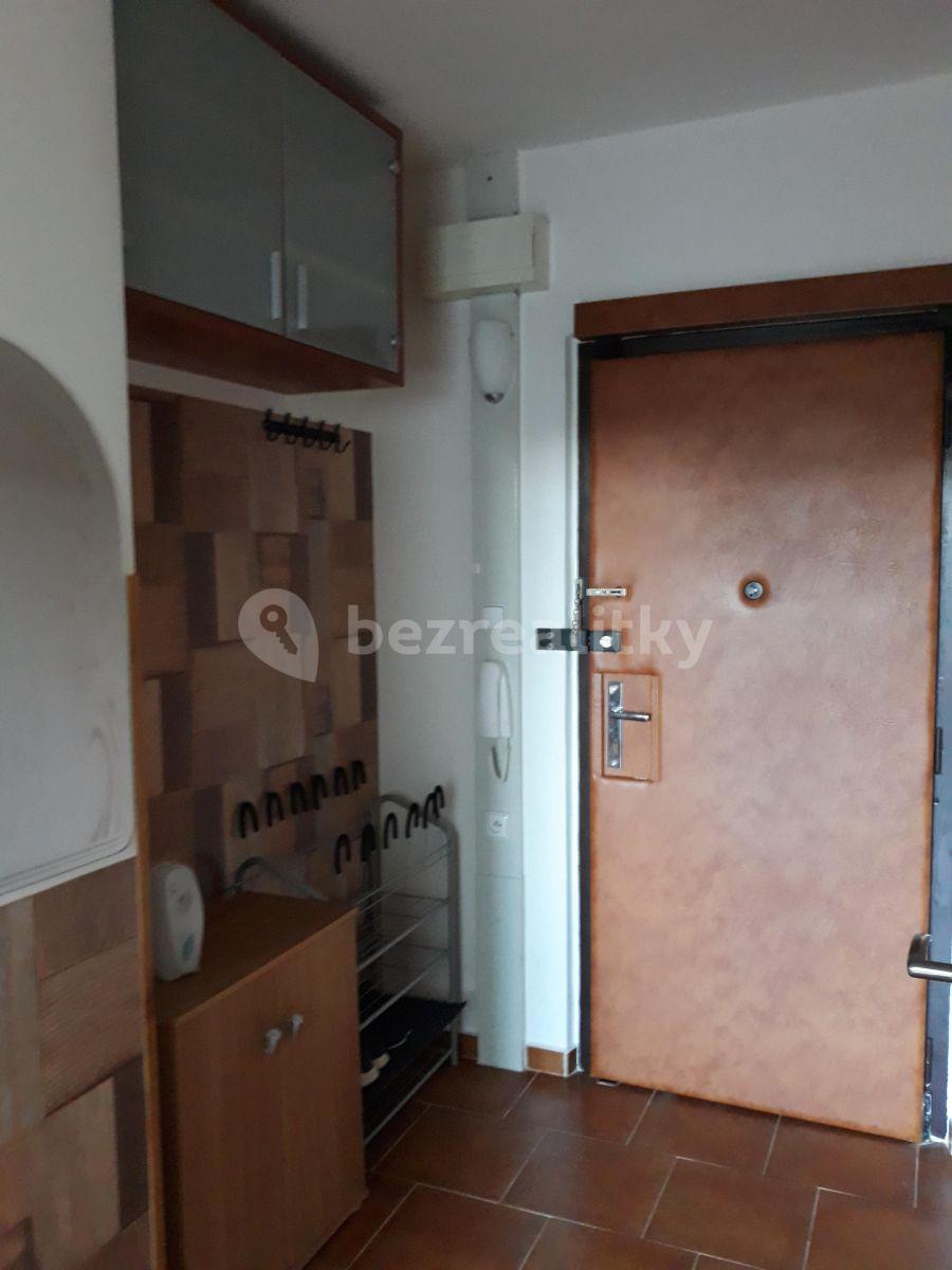 1 bedroom with open-plan kitchen flat to rent, 43 m², Podjavorinské, Prague, Prague