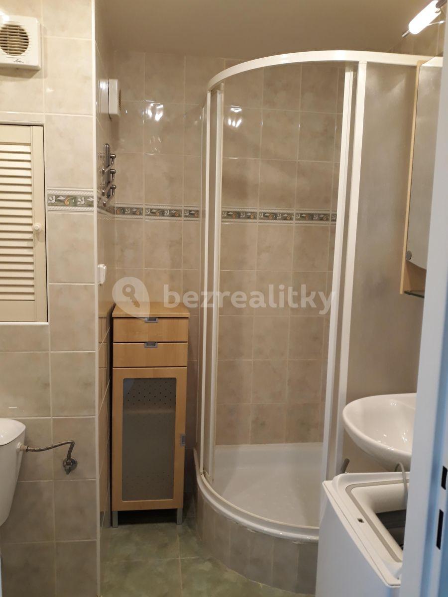 1 bedroom with open-plan kitchen flat to rent, 43 m², Podjavorinské, Prague, Prague