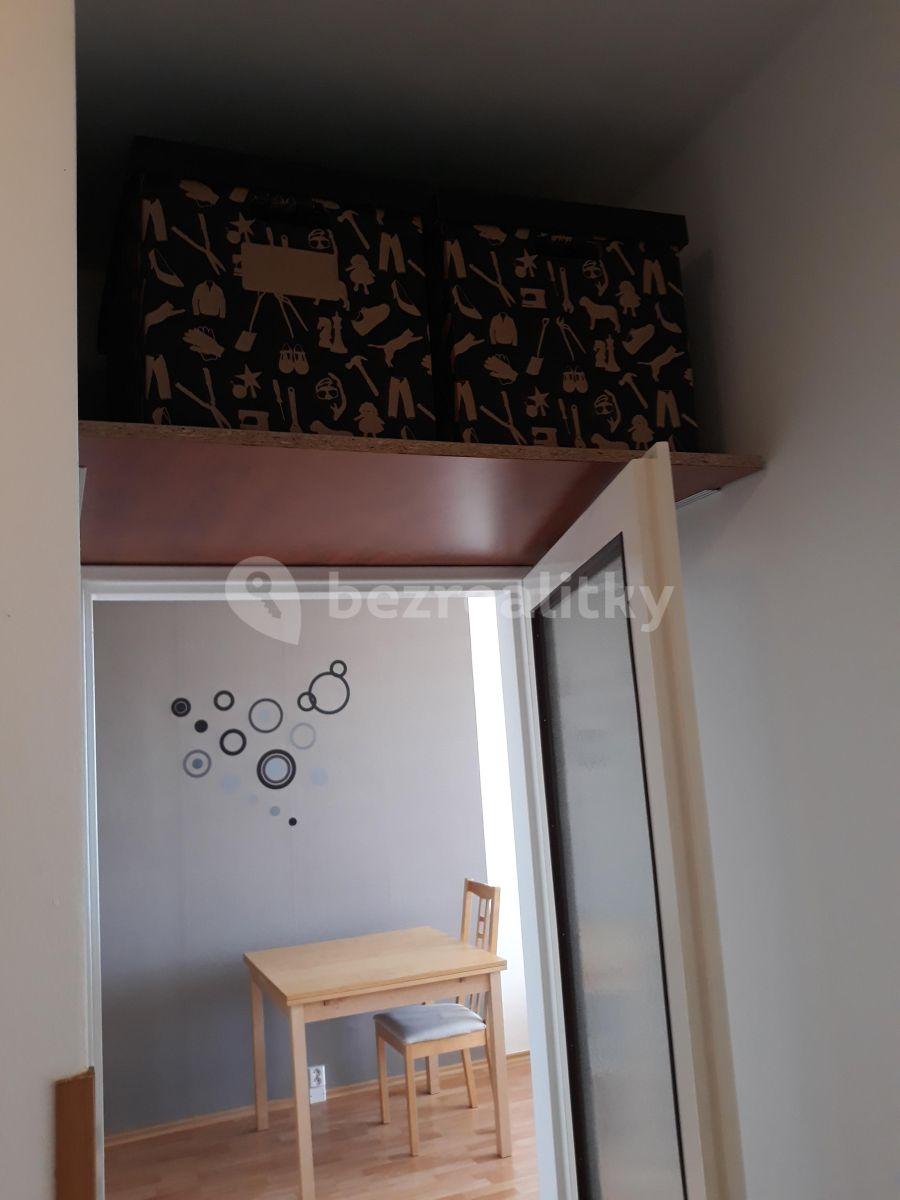 1 bedroom with open-plan kitchen flat to rent, 43 m², Podjavorinské, Prague, Prague