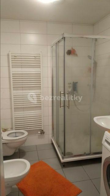 1 bedroom with open-plan kitchen flat to rent, 60 m², Glocova, Brno, Jihomoravský Region