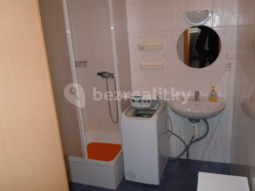 Studio flat to rent, 28 m², Zemědělská, Brno, Jihomoravský Region