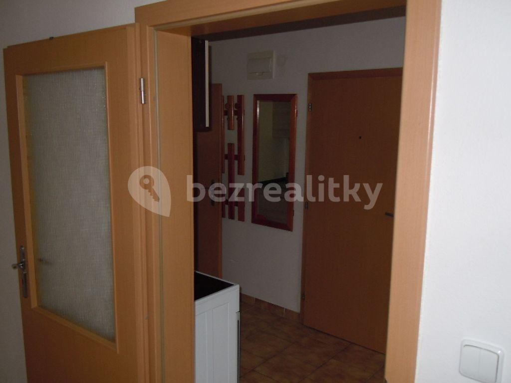 Studio flat to rent, 28 m², Zemědělská, Brno, Jihomoravský Region