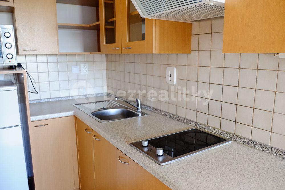 Studio flat to rent, 44 m², Nad Hliníkem, Prague, Prague