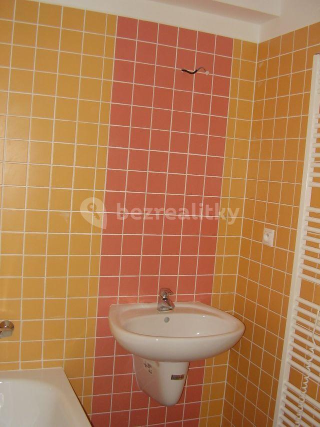 1 bedroom with open-plan kitchen flat to rent, 54 m², Symfonická, Prague, Prague