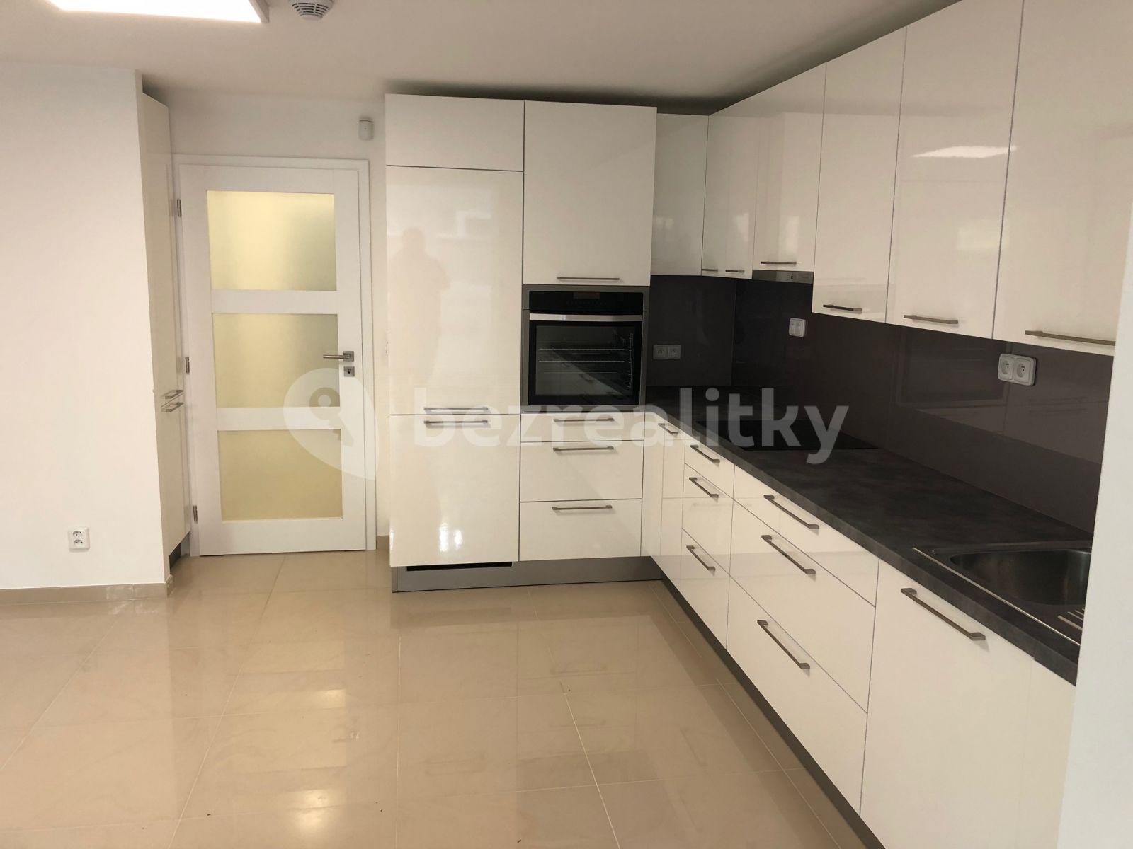 1 bedroom with open-plan kitchen flat to rent, 51 m², Na Balkáně, Prague, Prague