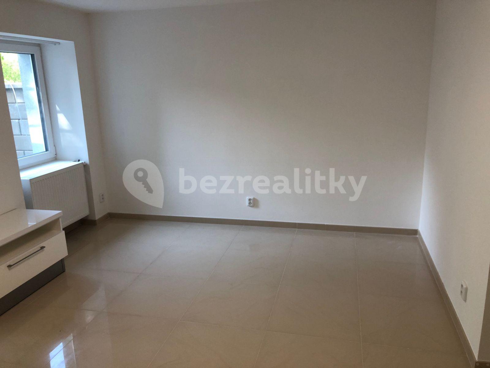 1 bedroom with open-plan kitchen flat to rent, 51 m², Na Balkáně, Prague, Prague