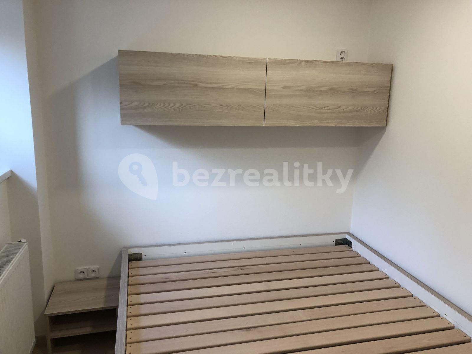 1 bedroom with open-plan kitchen flat to rent, 51 m², Na Balkáně, Prague, Prague