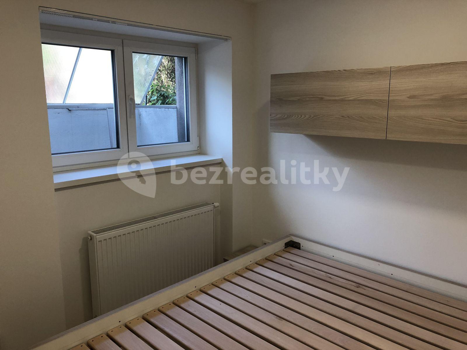 1 bedroom with open-plan kitchen flat to rent, 51 m², Na Balkáně, Prague, Prague