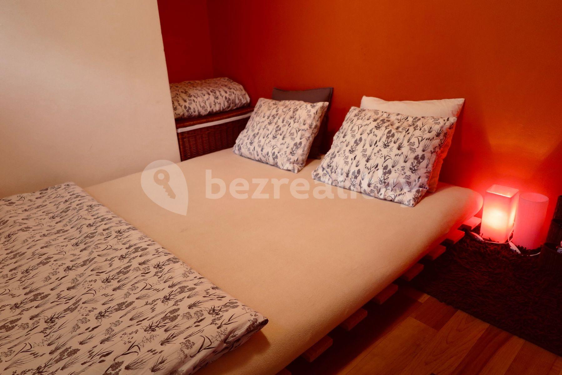 1 bedroom with open-plan kitchen flat to rent, 39 m², Ke Kapslovně, Prague, Prague