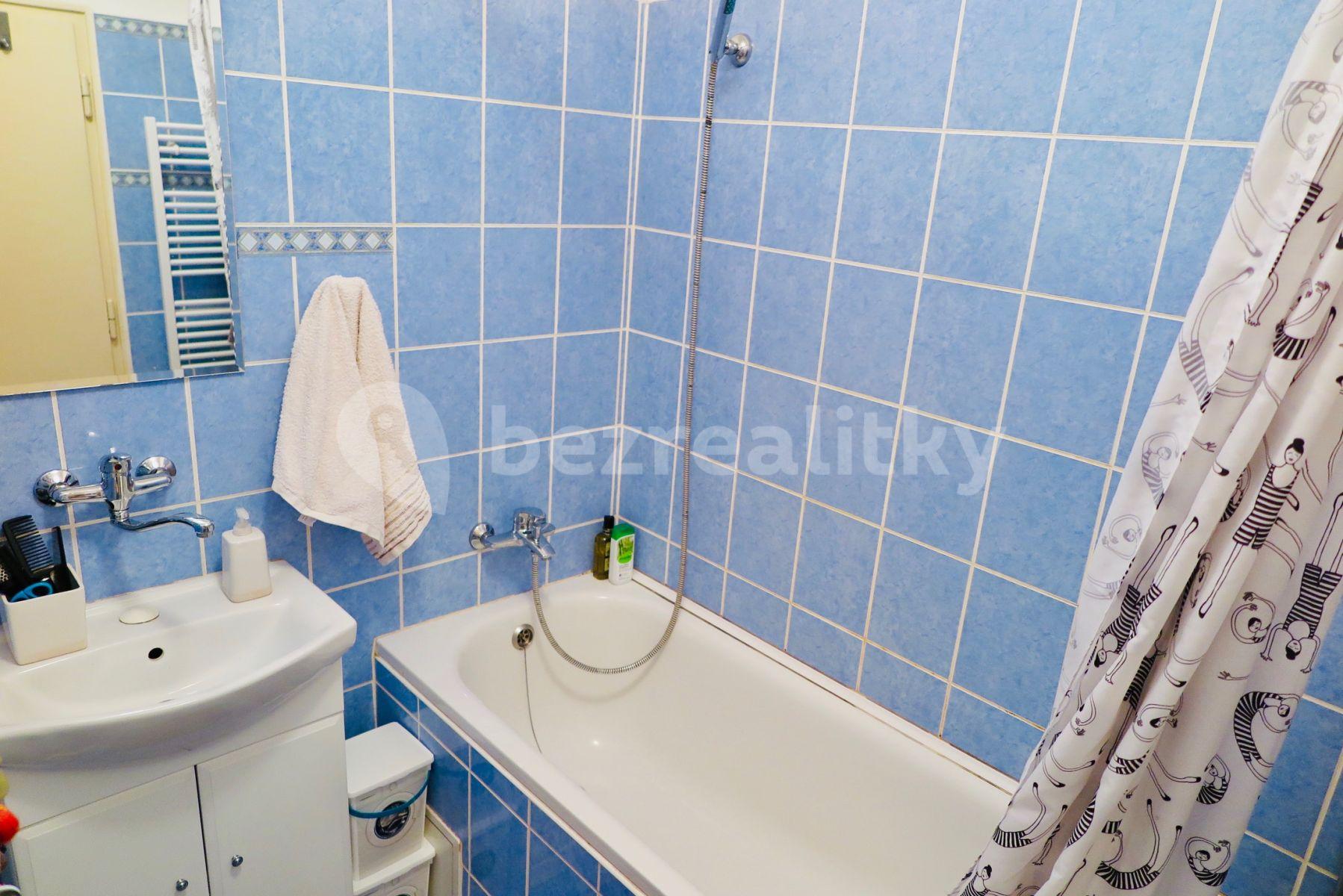 1 bedroom with open-plan kitchen flat to rent, 39 m², Ke Kapslovně, Prague, Prague