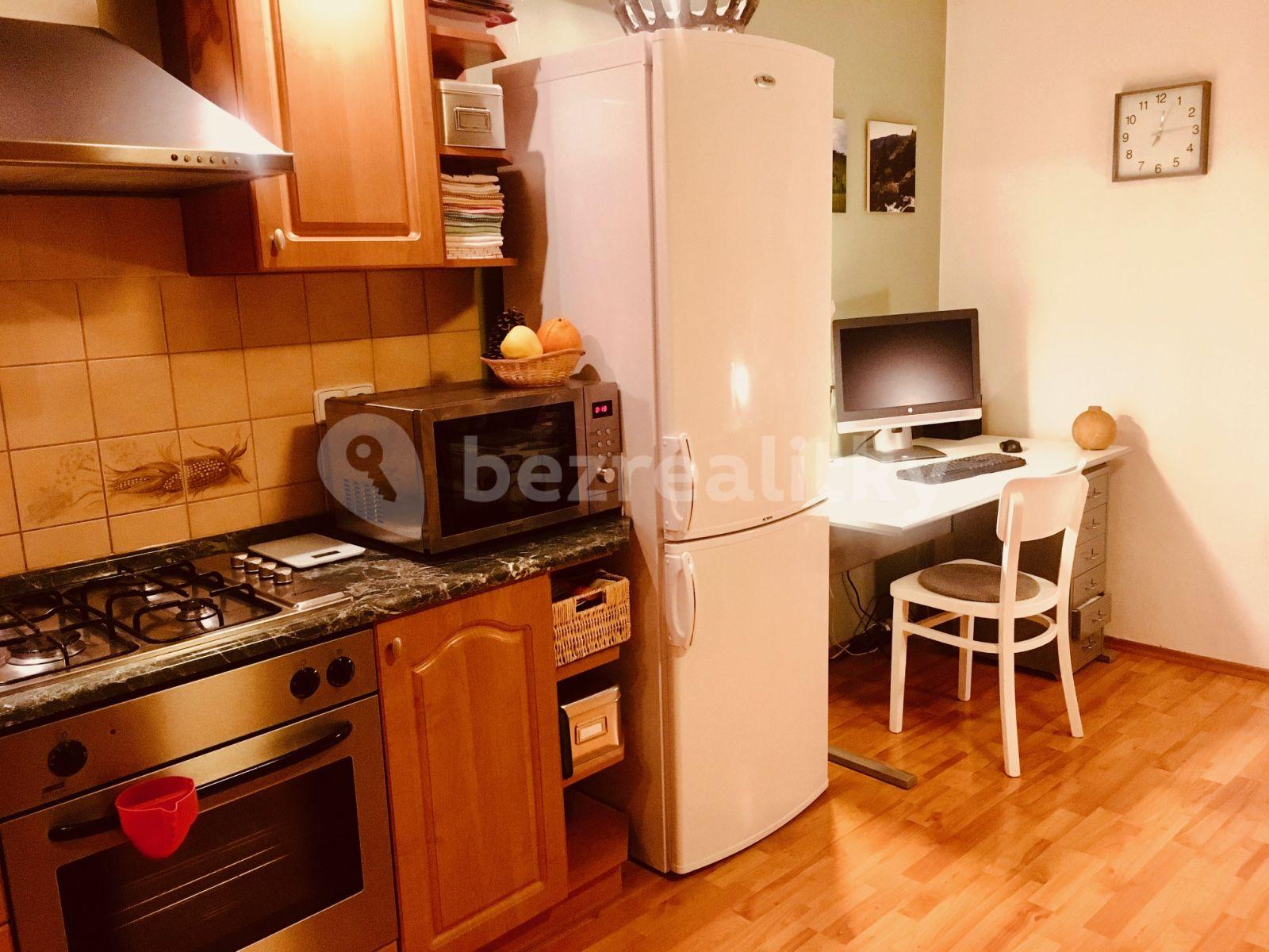 1 bedroom with open-plan kitchen flat to rent, 39 m², Ke Kapslovně, Prague, Prague